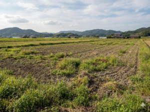 相続した農地を売却できない?「農地法」の制限と非農地証明願の活用法